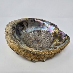 Natural Abalone‎ Shell Iridescent Mother of Pearl Smudge Bowl Home Decor Display